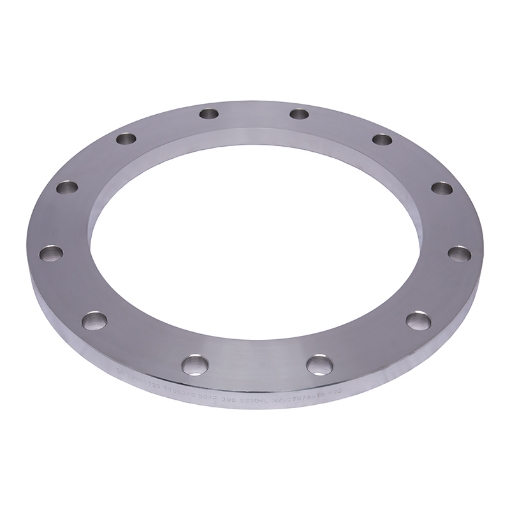 Picture of PLATE FLANGE GRADE 304 L T1000 FLAT FACE SLIP ON 250