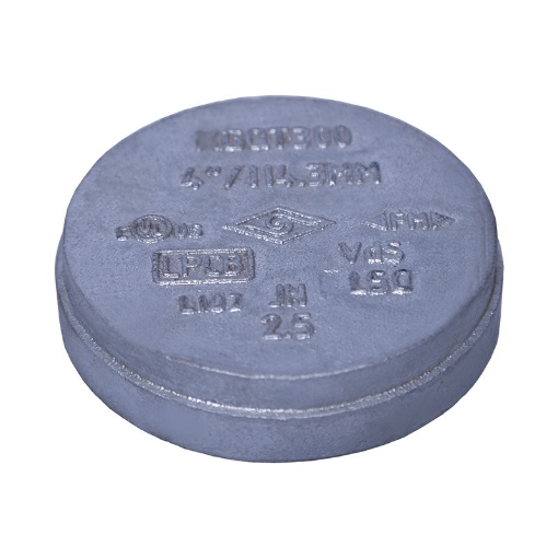 Picture of CAP DUCTILE IRON ASTM A536 PAINTED 100 27MM LONG